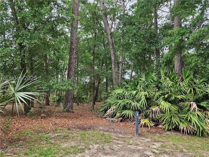Security gate - Beach Lot for sale in Beaufort, South Carolina on Beachhouse.com
