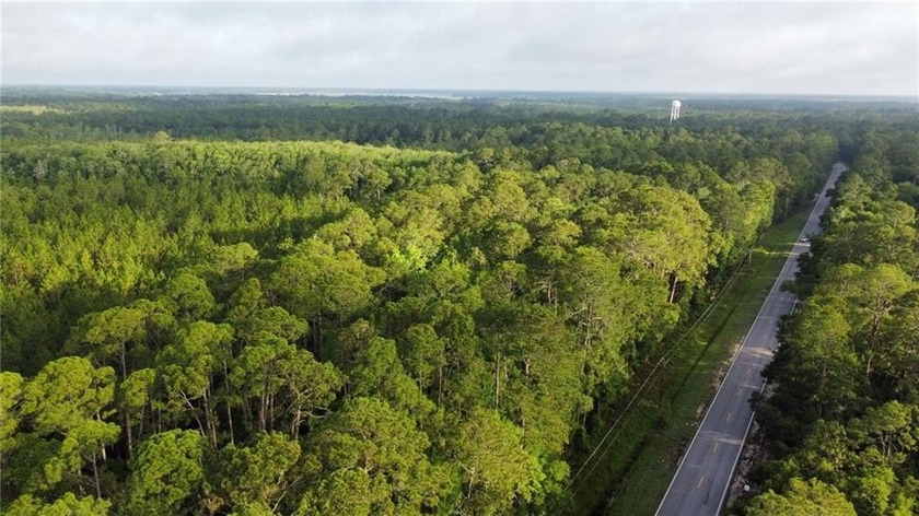 This 5.18 acre tract is located right off Hwy 99 between Eulonia - Beach Acreage for sale in Townsend, Georgia on Beachhouse.com