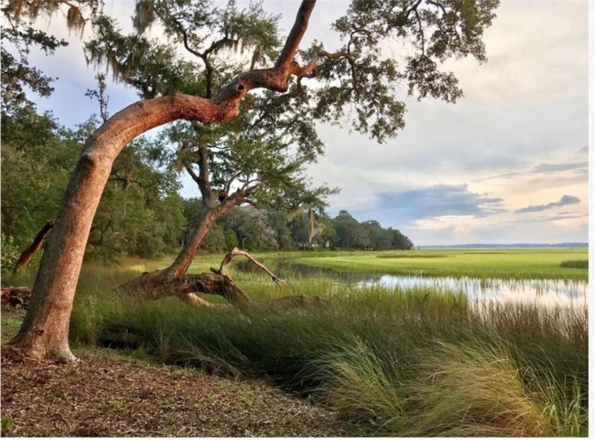 Check out this gorgeous marsh front lot on Julienton Drive at - Beach Lot for sale in Townsend, Georgia on Beachhouse.com