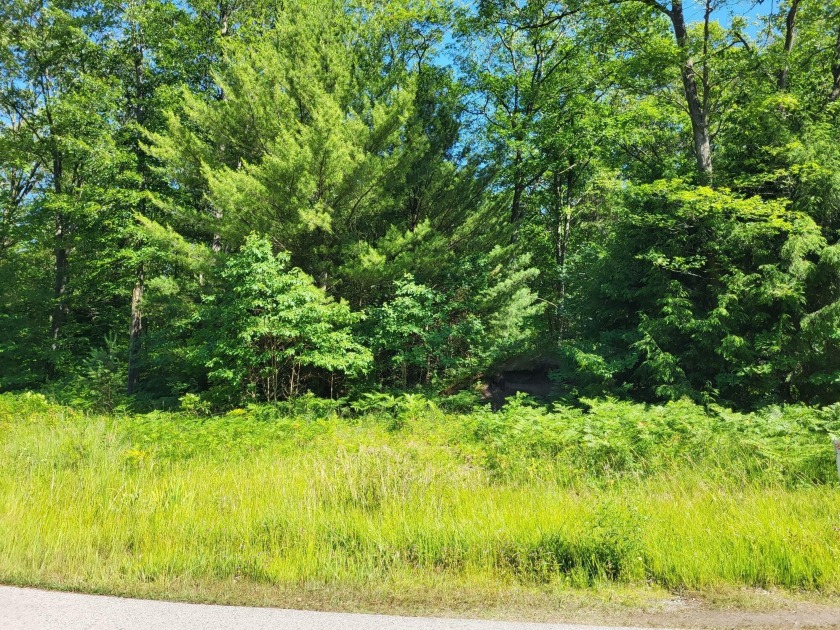Beautiful building site in a desirable development. Lot #15 - Beach Lot for sale in Whitehall, Michigan on Beachhouse.com