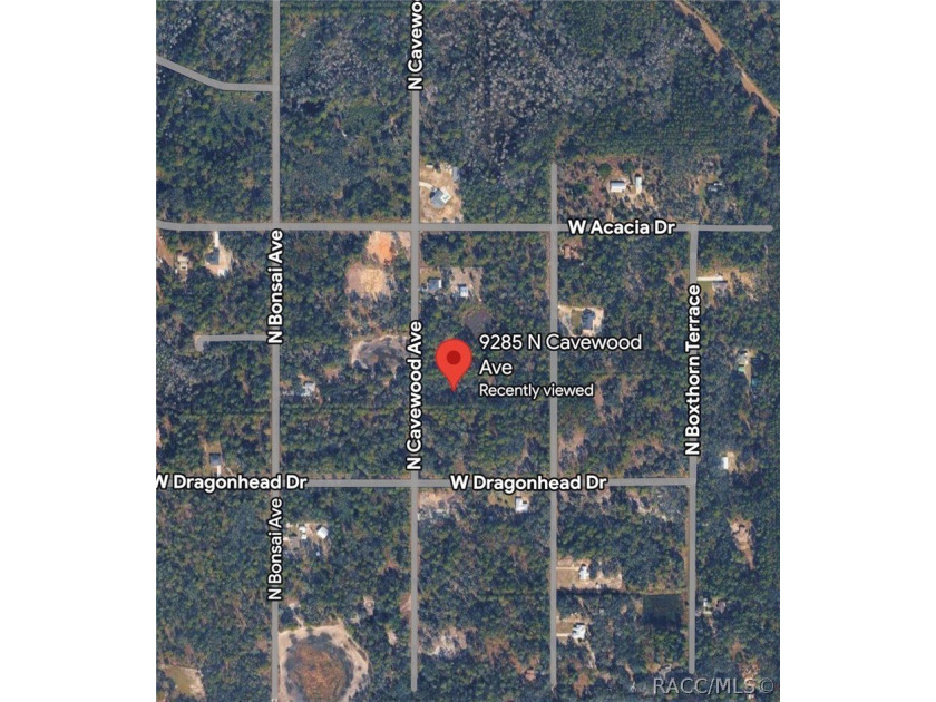 Build your Florida dream right here in the heart of Crystal - Beach Lot for sale in Crystal River, Florida on Beachhouse.com