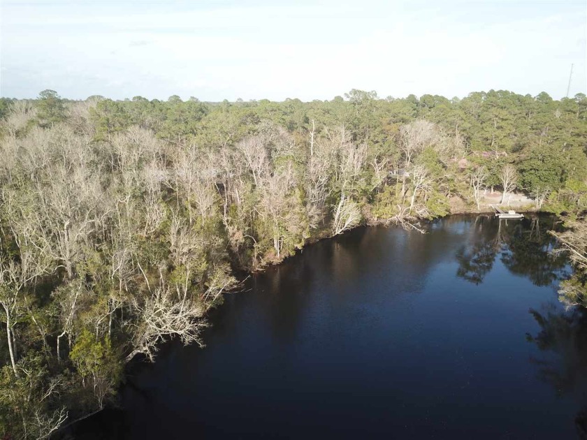 11 Acres and 1000 feet of river frontage and on the Sopchoppy - Beach Acreage for sale in Sopchoppy, Florida on Beachhouse.com