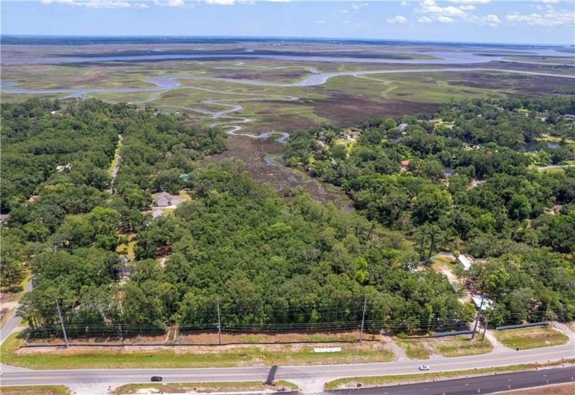 Rare Opportunity on Thornhill Creek - 9.69 Acres of Untouched - Beach Acreage for sale in Brunswick, Georgia on Beachhouse.com