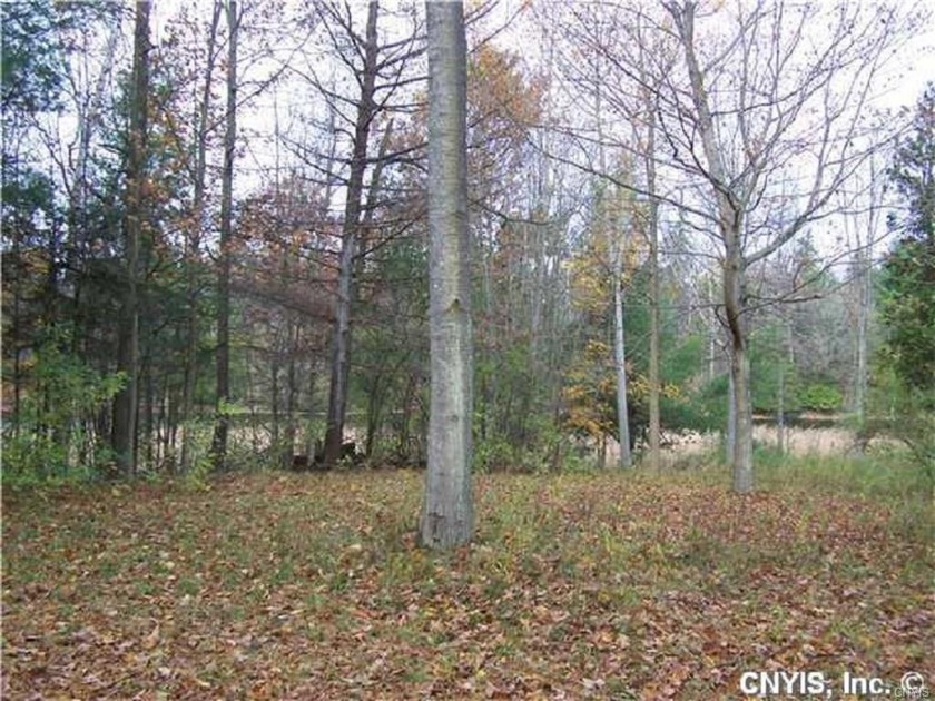 Enjoy more than 300 feet of beautiful Chaumont River, with woods - Beach Lot for sale in Lyme, New York on Beachhouse.com