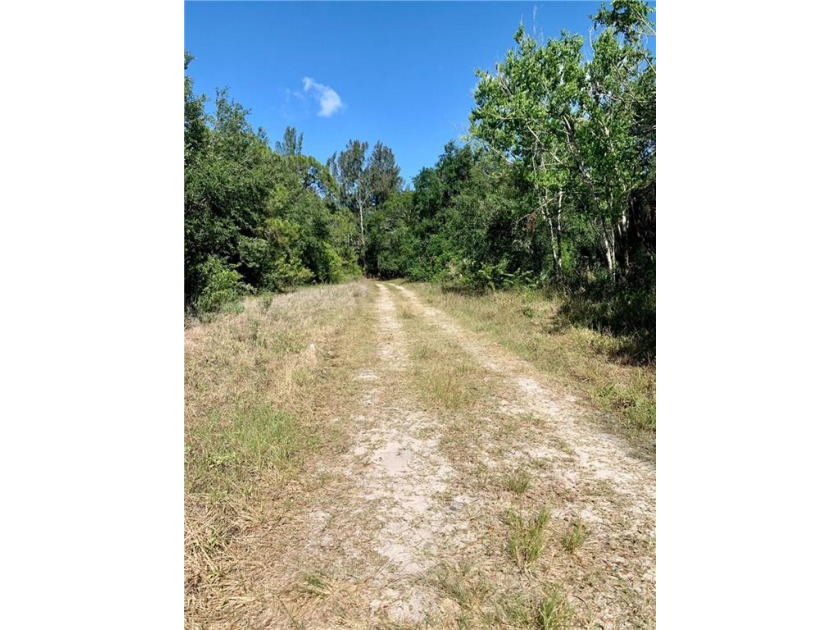 Build your dream home on this wooded 1/2 acre homesite in the - Beach Lot for sale in Vero Beach, Florida on Beachhouse.com