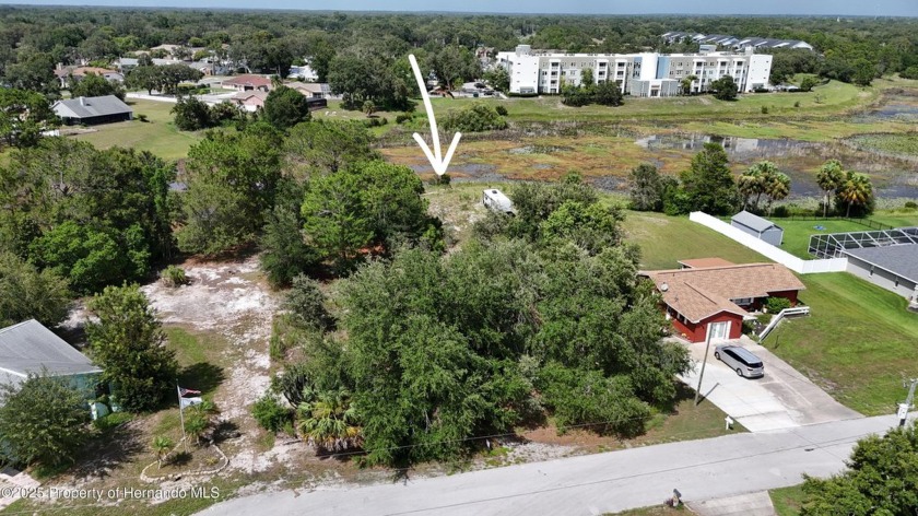 This 1/2 acre lot in Spring Hill is ready for your new dream - Beach Lot for sale in Spring Hill, Florida on Beachhouse.com