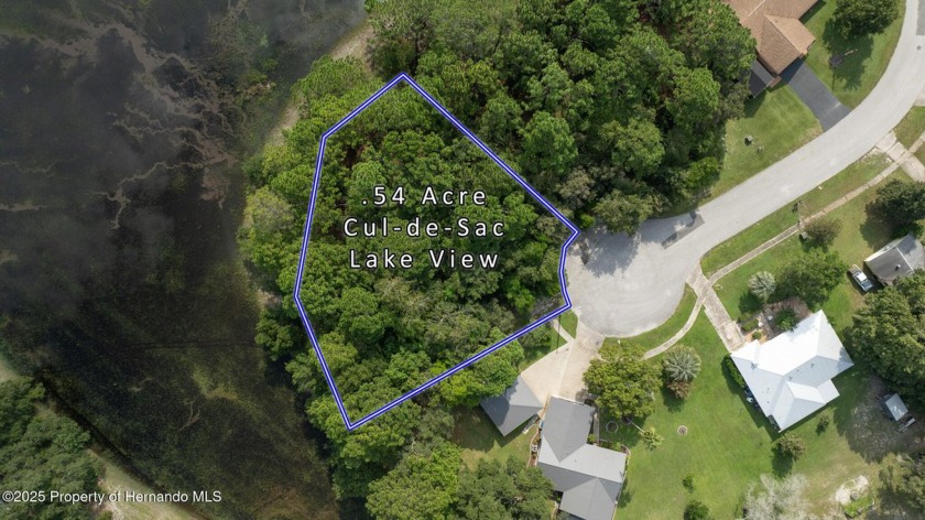This one checks all the boxes. A beautiful oversized, cul de sac - Beach Lot for sale in Spring Hill, Florida on Beachhouse.com