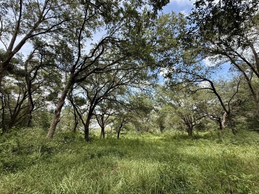 Situated on the north side of Interstate-10, with direct access - Beach Acreage for sale in Grand Bay, Alabama on Beachhouse.com