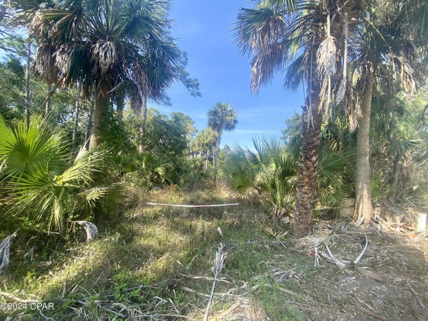 Beautiful 2.22 acre WATERFRONT lot on the lagoon at Indian Pass - Beach Acreage for sale in Port St Joe, Florida on Beachhouse.com