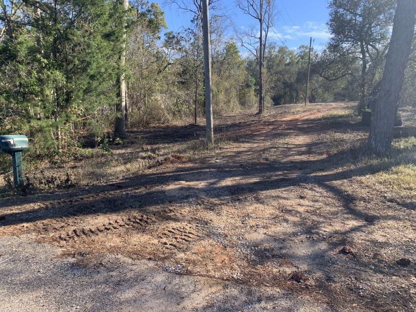 3 acres level high and dry. Big beautiful trees, with ground - Beach Acreage for sale in Elberta, Alabama on Beachhouse.com