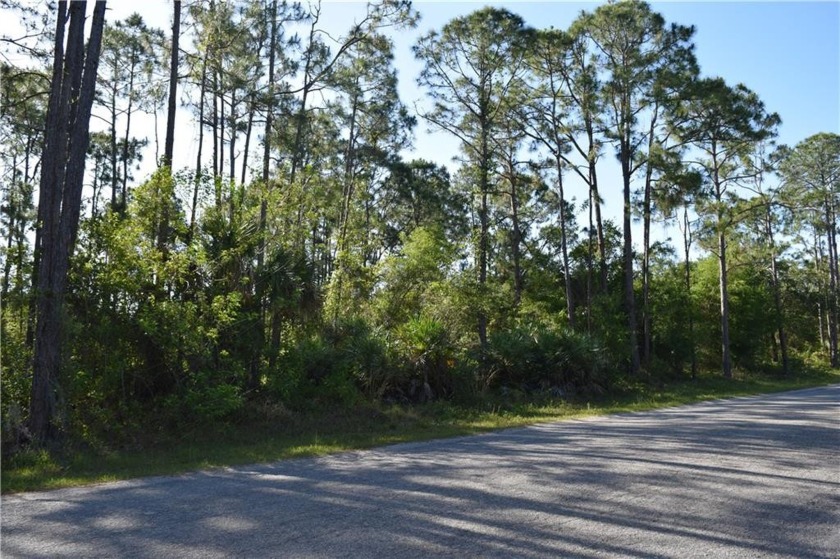 Best lot in VLE. This 1/2 Acre lot is only 11 parcels from 512 - Beach Lot for sale in Vero Beach, Florida on Beachhouse.com