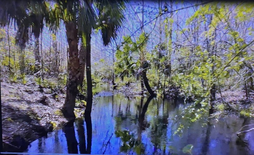 34.8 Acres, Creek Frontage, Natural Spring, Wildlife and 1996 - Beach Lot for sale in Perry, Florida on Beachhouse.com