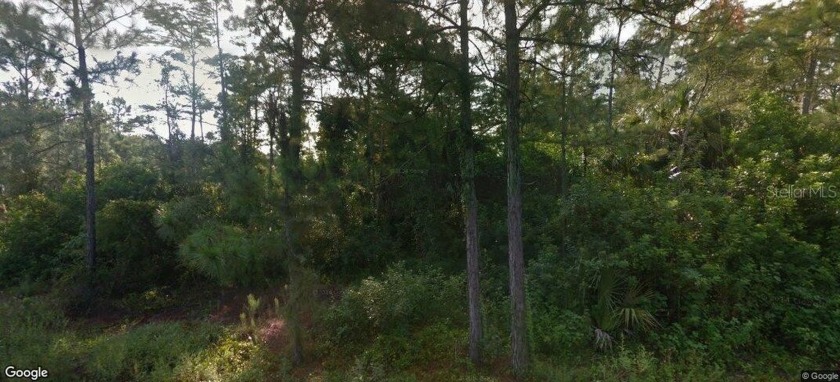 *Open the Door to Your Dreams* of finding the perfect .30 acre - Beach Lot for sale in Lehigh Acres, Florida on Beachhouse.com