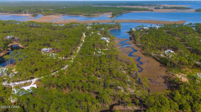 Nestled in the serene landscape of River Camps on Crooked Creek - Beach Lot for sale in Panama City Beach, Florida on Beachhouse.com