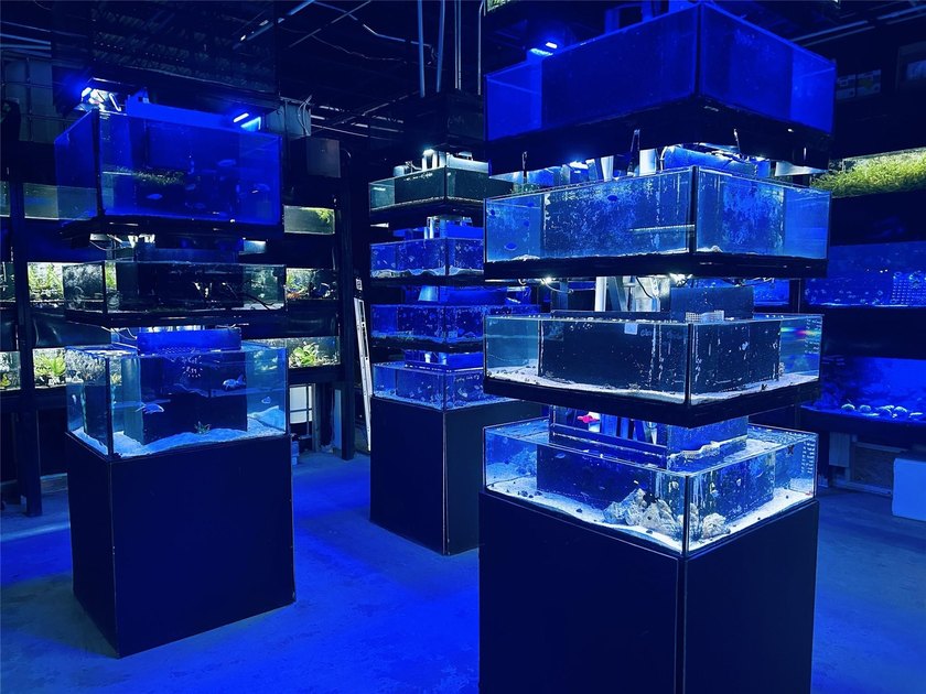 Established and cash-flowing dual-revenue business on a hard - Beach Commercial for sale in Vero Beach, Florida on Beachhouse.com