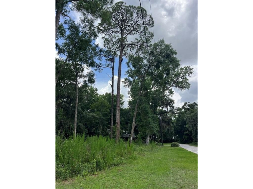 Looking for a great homesite in the golf cart friendly district - Beach Lot for sale in Saint Marys, Georgia on Beachhouse.com