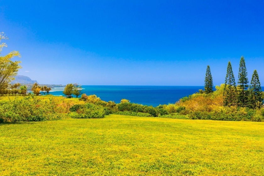 Perfect for building your ocean bluff dream home, this 2-acre - Beach Acreage for sale in Kilauea, Hawaii on Beachhouse.com