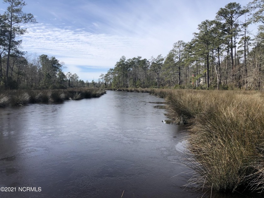 Looking for an affordable waterfront lot to build a cottage - Beach Lot for sale in Belhaven, North Carolina on Beachhouse.com