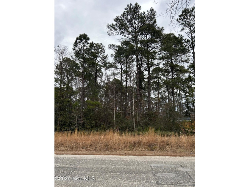 This is a must see spacious lot in Carolina Shores North. The - Beach Lot for sale in Calabash, North Carolina on Beachhouse.com