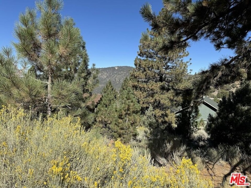 Here's the chance to realize your vision of the perfect mountain - Beach Lot for sale in Pine Mountain Club, California on Beachhouse.com