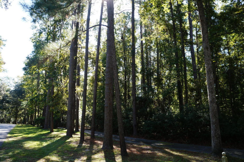 1.69 acres of mature hardwood shade trees and lot's of road - Beach Lot for sale in Seabrook, South Carolina on Beachhouse.com