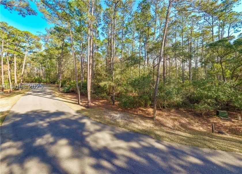Located in the gated enclave of Bay Pointe Vistas, this - Beach Lot for sale in Saint Helena Island, South Carolina on Beachhouse.com