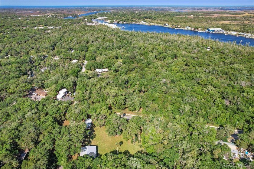 Income-producing Restaurant, Bar, and Package Store opportunity - Beach Commercial for sale in Homosassa, Florida on Beachhouse.com