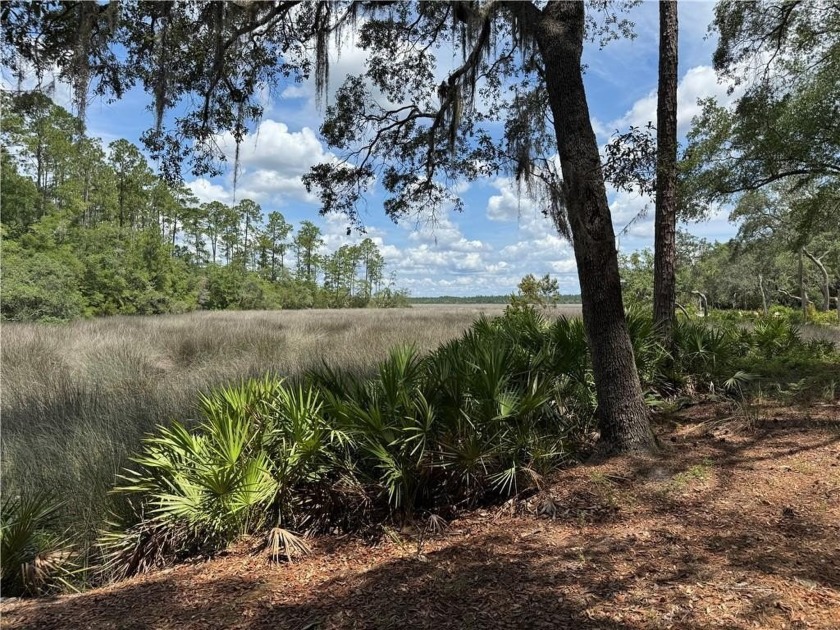 Imagine waking up to breathtaking marsh-front views every single - Beach Lot for sale in Waverly, Georgia on Beachhouse.com