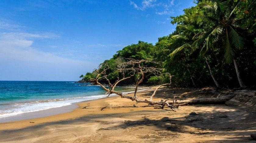 This beachfront land on Saboga Island, Panama, offers a unique - Beach Commercial for sale in Saboga,  on Beachhouse.com