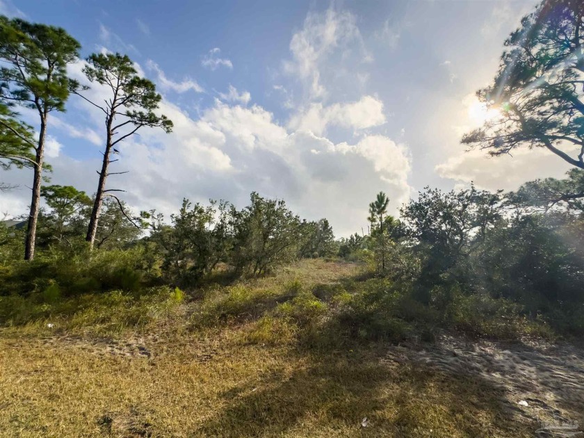 Build your dream home on this spacious .48-acre lot at 13431 - Beach Lot for sale in Pensacola, Florida on Beachhouse.com