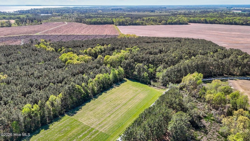 Discover the relaxing atmosphere of North Creek Landing! If - Beach Lot for sale in Belhaven, North Carolina on Beachhouse.com