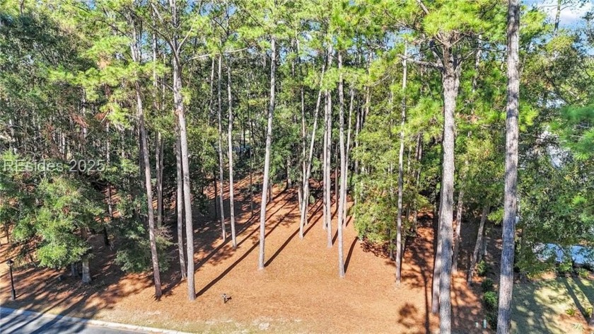 Set within the desirable Belfair golf community, this expansive - Beach Lot for sale in Bluffton, South Carolina on Beachhouse.com