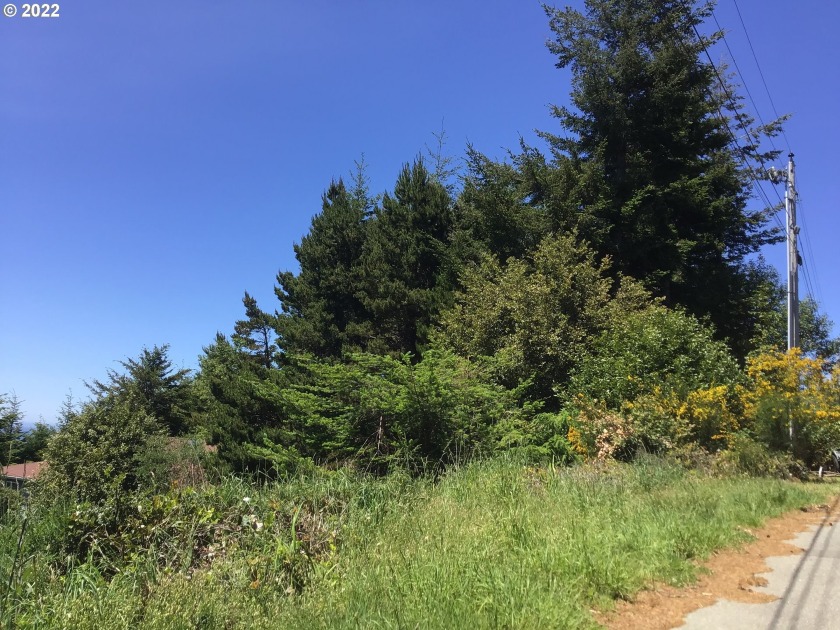 Corner lot 100 feet by 65 feet with possible ocean view on - Beach Lot for sale in Port Orford, Oregon on Beachhouse.com