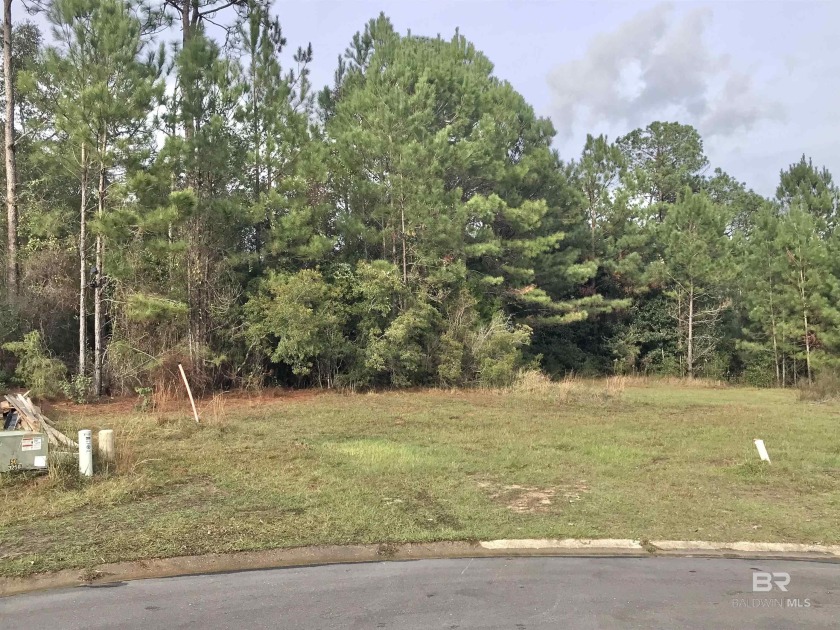 NO HOA!! Property is in Lake Forest but does not pay the HOA fee - Beach Lot for sale in Daphne, Alabama on Beachhouse.com