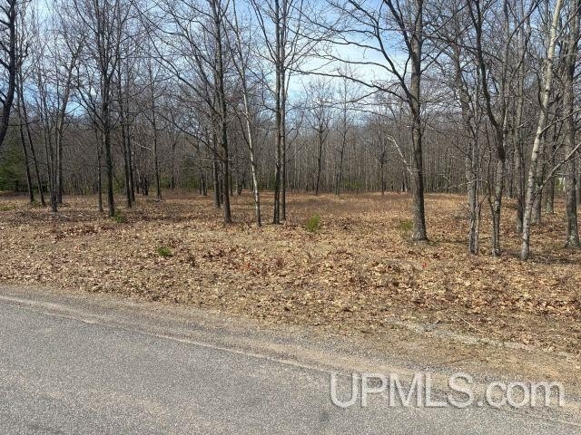 Two of the nicer lots in a very desirable area. The lots have - Beach Lot for sale in Gladstone, Michigan on Beachhouse.com