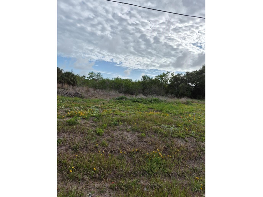 Investment property only.  This property has no roads or - Beach Lot for sale in Aransas Pass, Texas on Beachhouse.com