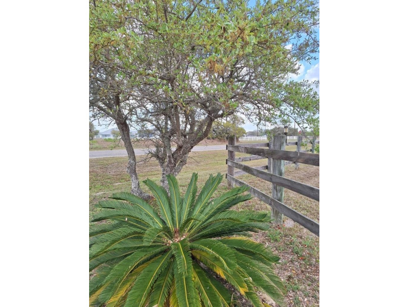 Rare opportunity near the bay to own 14.+ acres of groomed and - Beach Lot for sale in Rockport, Texas on Beachhouse.com