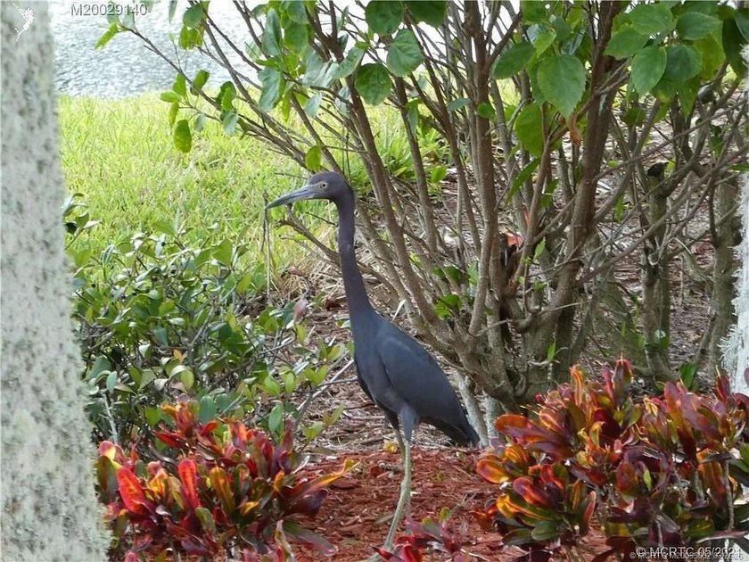 Exceptional oversized 2,749 sq. ft. pull-in lot offering - Beach Lot for sale in Port Saint Lucie, Florida on Beachhouse.com