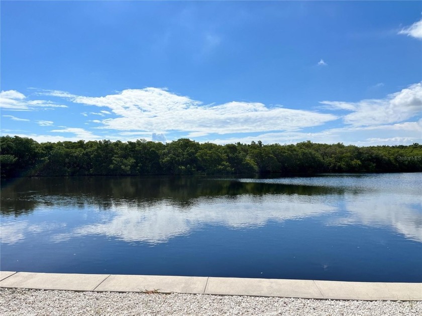 A highlight of this home in Americana Cove is its panoramic view - Beach Home for sale in St. Petersburg, Florida on Beachhouse.com