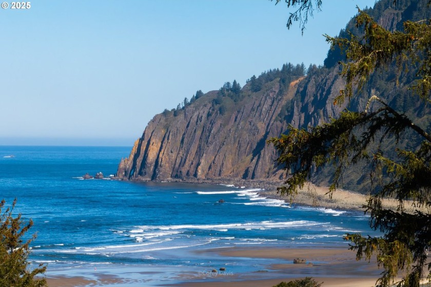 For those who have followed Manzanita real estate over the years - Beach Lot for sale in Manzanita, Oregon on Beachhouse.com