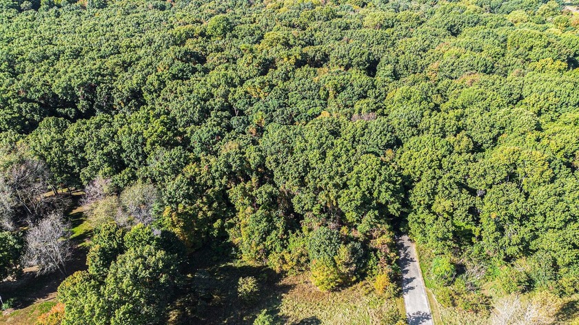 Great Hope Estates Lot 10 is a nice buildable, wooded lot close - Beach Lot for sale in Benton Harbor, Michigan on Beachhouse.com