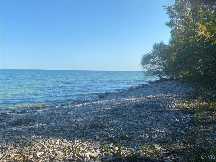 Are you ready to own almost 7 acres and 300' of an incredible - Beach Acreage for sale in Cape Vincent, New York on Beachhouse.com