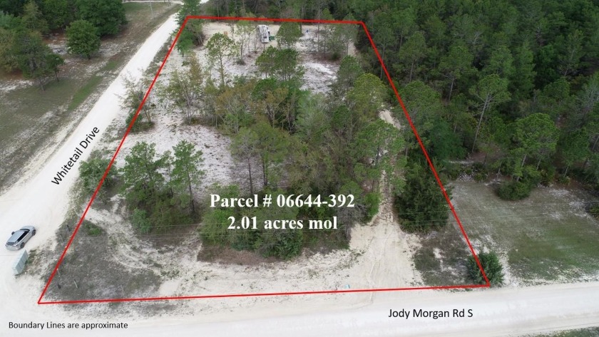 Ready for you! This 2.01-acre lot has been prepared for your - Beach Acreage for sale in Keaton Beach, Florida on Beachhouse.com