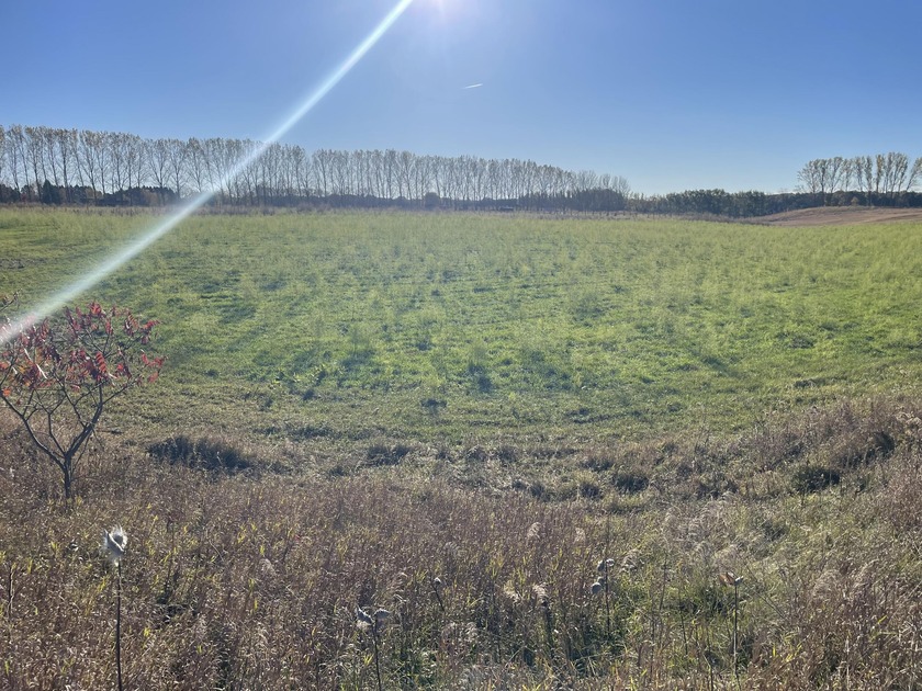 5 acre building site close to Lake Michigan and Silver Lake - Beach Acreage for sale in Shelby, Michigan on Beachhouse.com