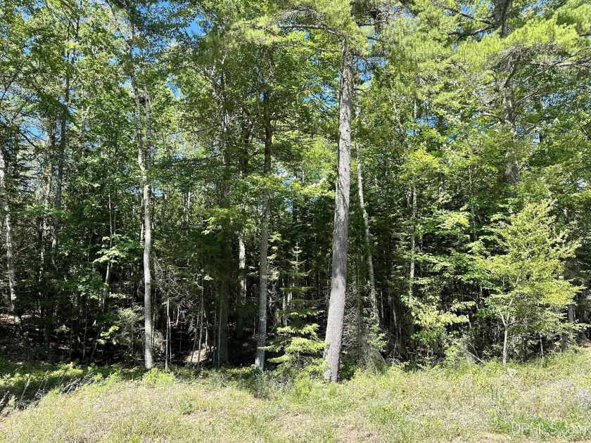 Spacious building site in Hemlock Views just west of Manistique - Beach Acreage for sale in Manistique, Michigan on Beachhouse.com