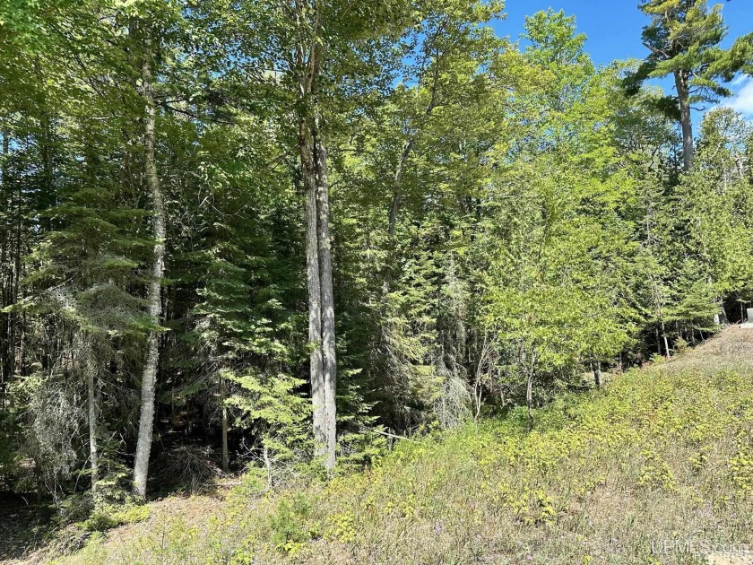 Spacious building site in Hemlock Views just west of Manistique - Beach Lot for sale in Manistique, Michigan on Beachhouse.com