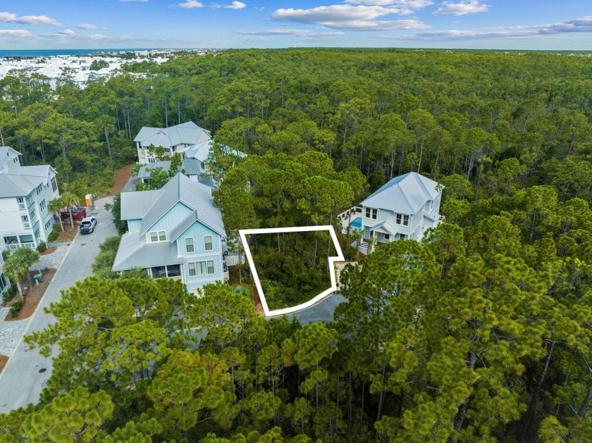 Beautiful lot in the residential community of Treetop, a quaint - Beach Lot for sale in Inlet Beach, Florida on Beachhouse.com