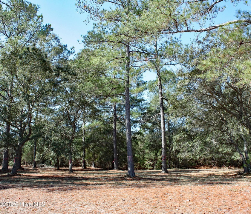 Beautiful, flat wooded lot with mature trees in the back for - Beach Lot for sale in Sunset Beach, North Carolina on Beachhouse.com