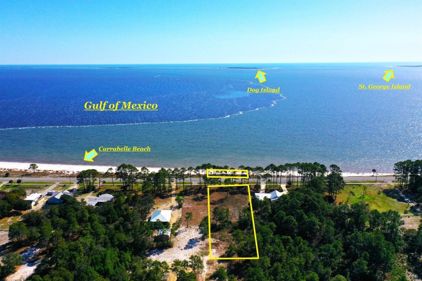 Are you looking for a high & dry GULF FRONT 1+ acre lot with - Beach Lot for sale in Carabelle, Florida on Beachhouse.com