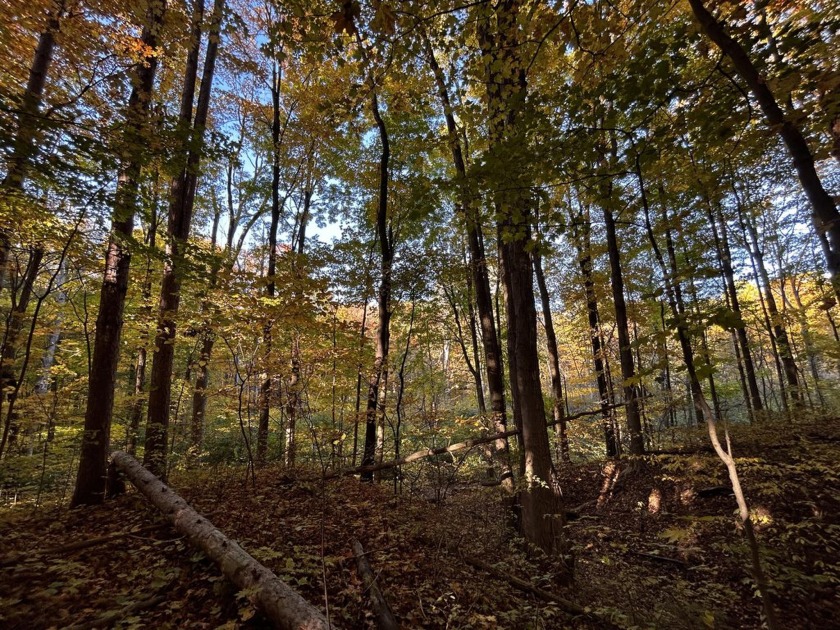 Beautiful building site with a ravine in the back, just minutes - Beach Lot for sale in South Haven, Michigan on Beachhouse.com